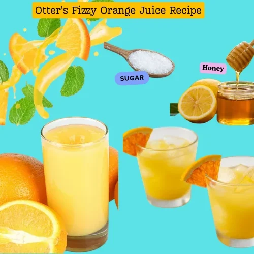 Otter's Fizzy Orange Juice Recipe