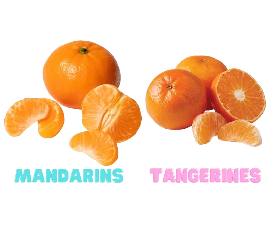 Mandarins and Tangerines