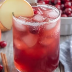 Cranberry Apple Cider Punch