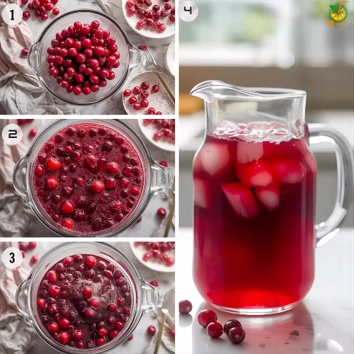 Homemade Cranberry Juice Recipe