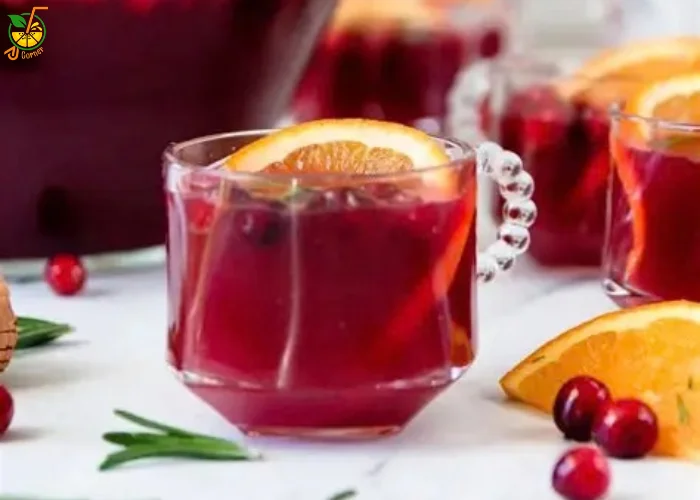 Cranberry Orange Prosecco Punch Recipe (1)
